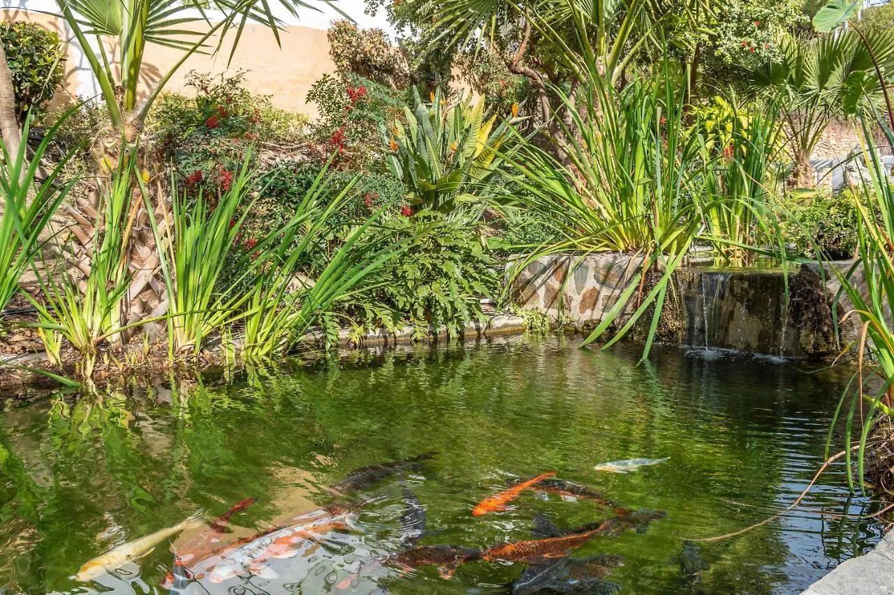 Rabat 8 Oasis Properties Нерха Апартаменты